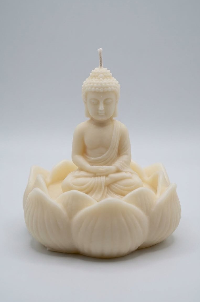 Lotus de Paz